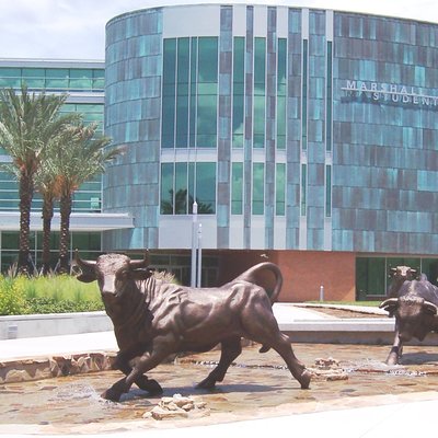 University of South Florida logo
