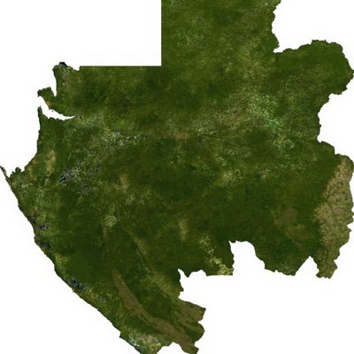 Gabon logo