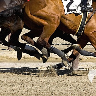 National Hunt racing