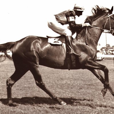 Caulfield Cup