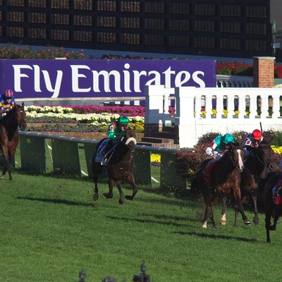 Breeders' Cup Turf