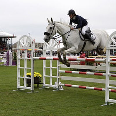 FEI Nations Cup