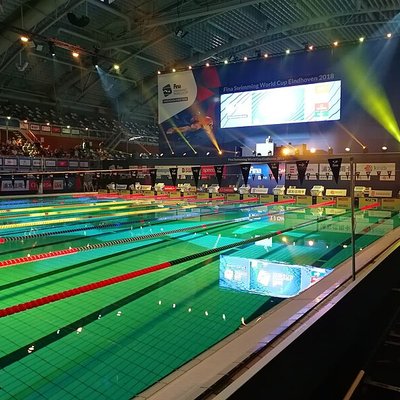FINA Swimming World Cup