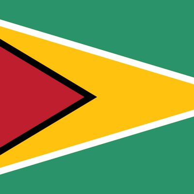 Guyana logo