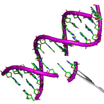 Genetically modified food logo