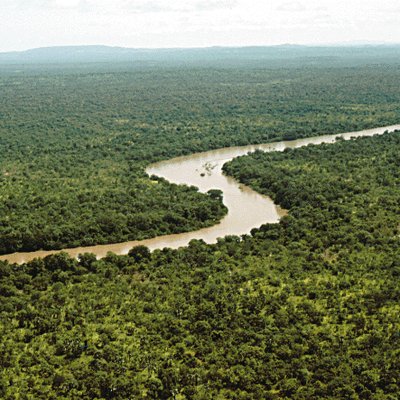 Gambia River