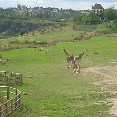 zoo praha