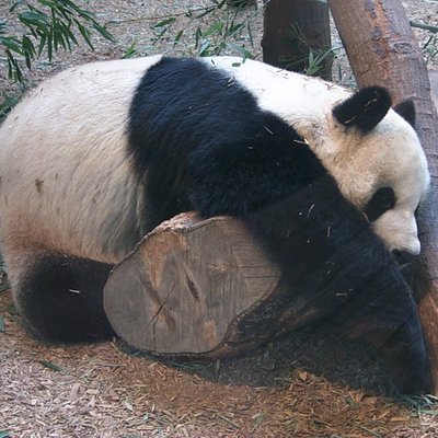 Zoo Atlanta