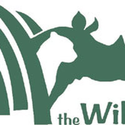 The Wilds logo