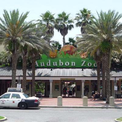 Audubon Zoo