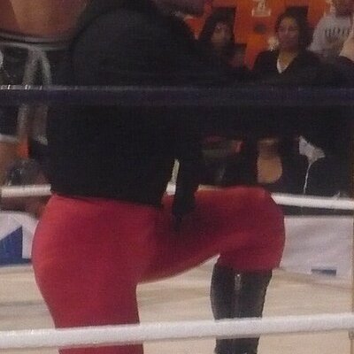 El Zorro (wrestler)