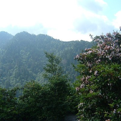 Great Smoky Mountains National Park