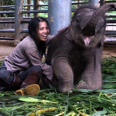 Elephant Nature Park