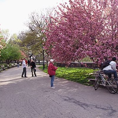 Riverside Park (Manhattan)