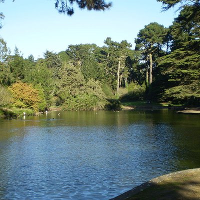 Golden Gate Park
