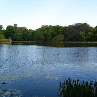 Prospect Park (Brooklyn)