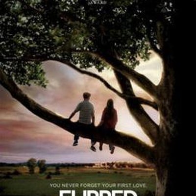 Flipped (film)