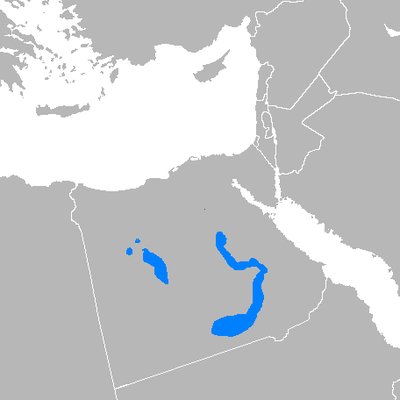 Sa'idi Arabic