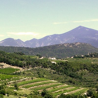 Côtes du Ventoux AOC