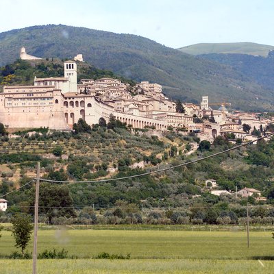 Assisi logo