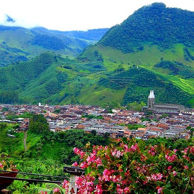 Jardín