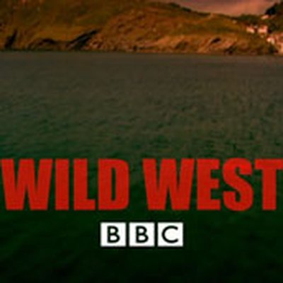 Wild West (TV series) logo