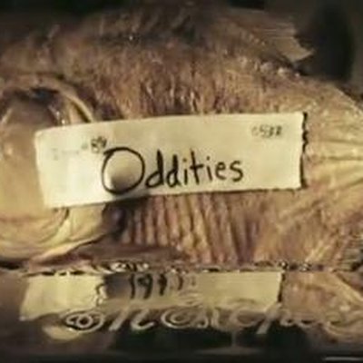 Oddities (TV series)
