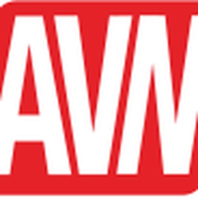 AVN (magazine) logo