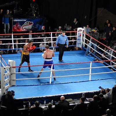 World Series of Boxing