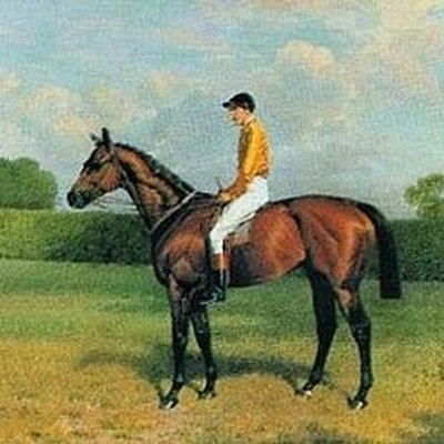 Horse Racing Nation