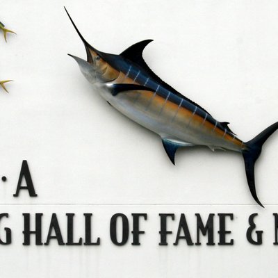 International Game Fish Association