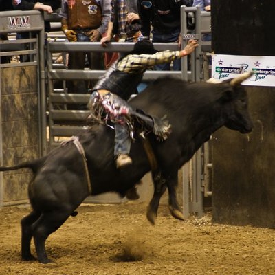 Women's Professional Rodeo Association