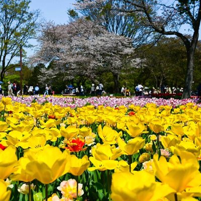 Golden Week (Japan)