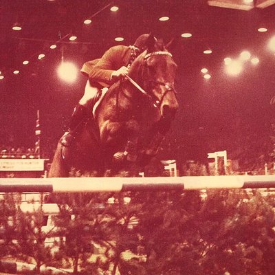 Horse of the Year Show