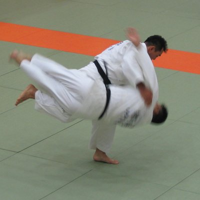 Throw (grappling)