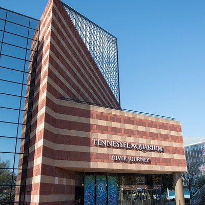 Tennessee Aquarium