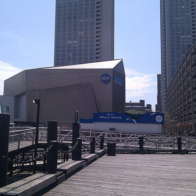 New England Aquarium