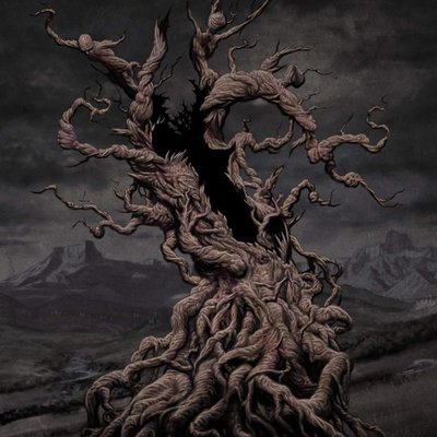 Vulvodynia