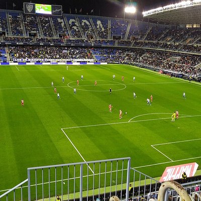Estadio La Rosaleda