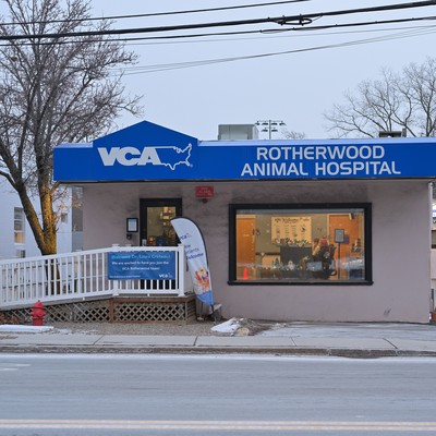 VCA Animal Hospitals logo