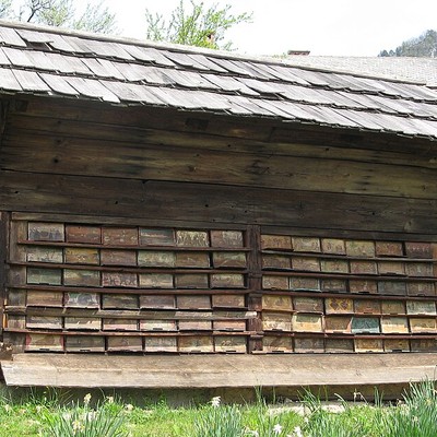 Apiary logo