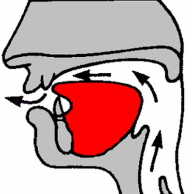 Dental consonant