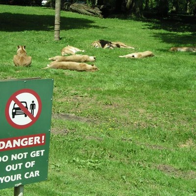 Longleat Safari Park