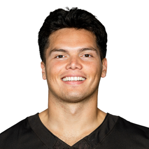 Dillon Gabriel logo