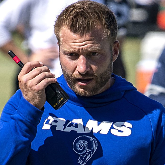 Sean McVay logo
