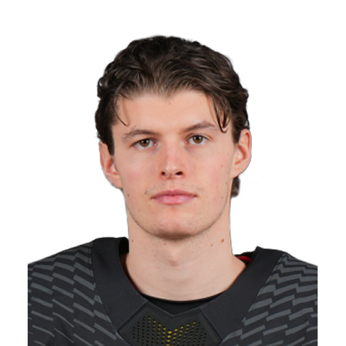 Lukas Reichel
