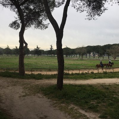 Ippodromo delle Capannelle