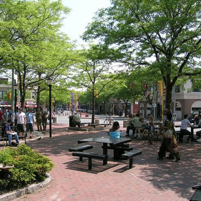 Davis Square logo