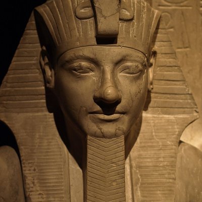 Nefertiti logo